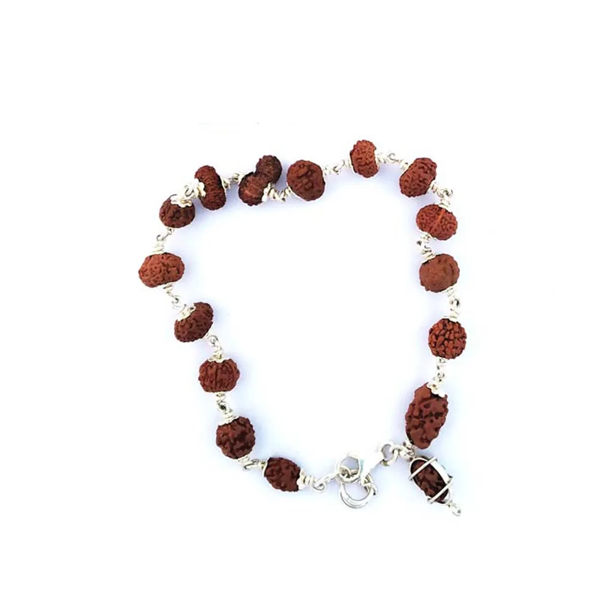 1 to 14 Mukhi with Ganesh & Gauri Shankar Rudraksha Siddha Bracelet in Pure Silver