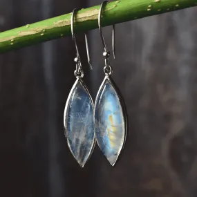 Long Foresight - Moonstone Dangles