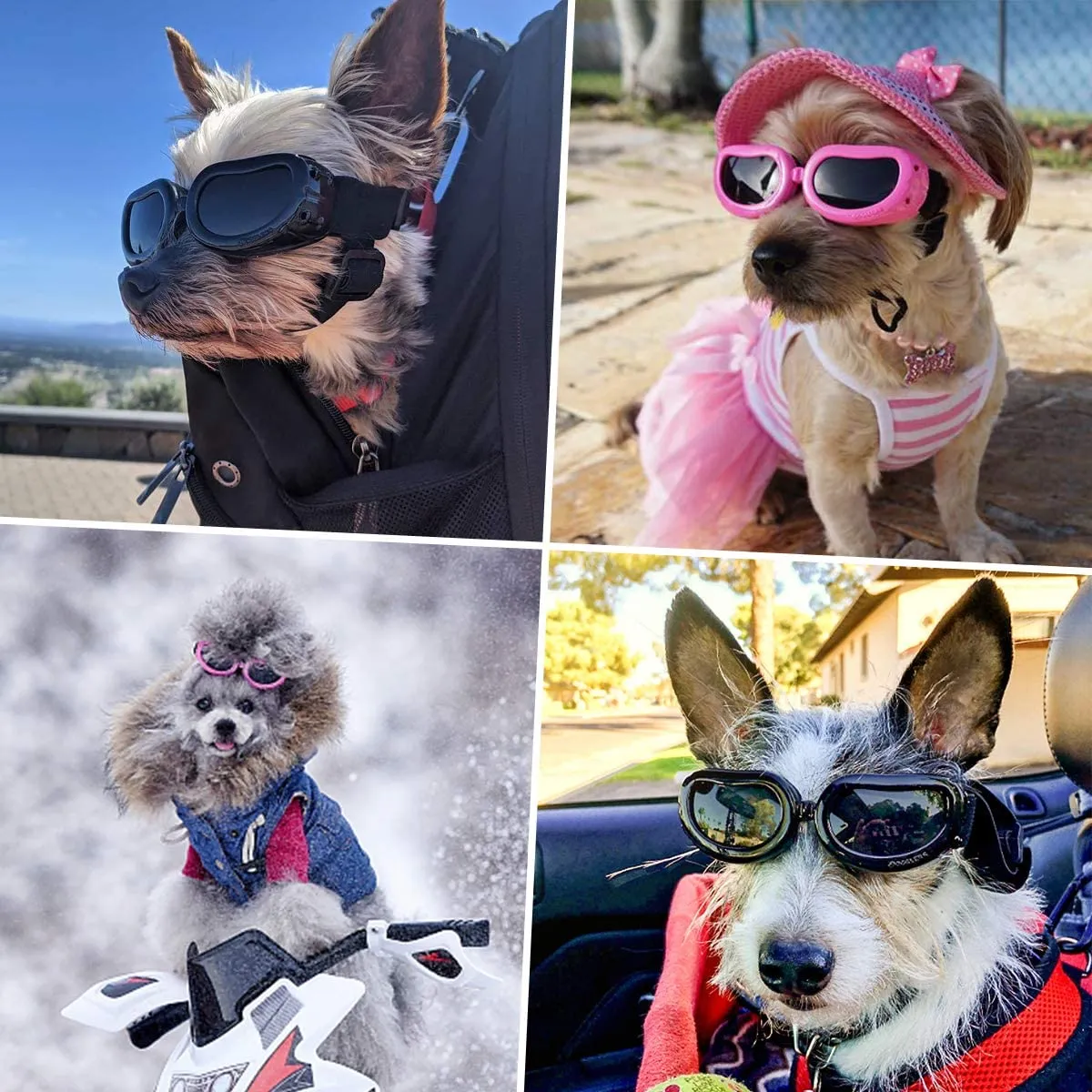 QUMY Small Dog Goggles UV